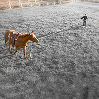 Equitation Val-des-monts